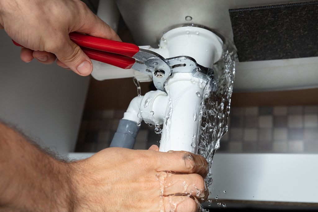 Why Is Having a Plumber an Essential Service? | Las Vegas, NV