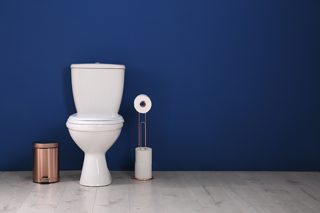 Plumbing Service Factors To Consider In Toilet Shopping | Las Vegas, NV