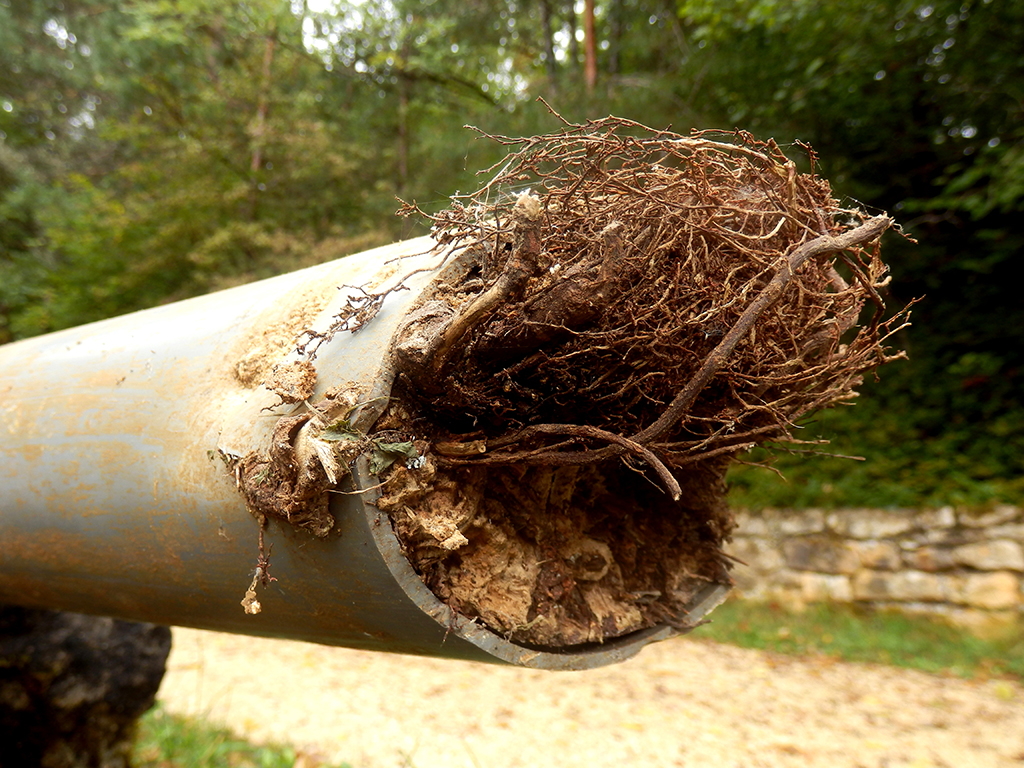 DIY Drain Cleaning: Hire A Plumbing Service Instead | Las Vegas, NV