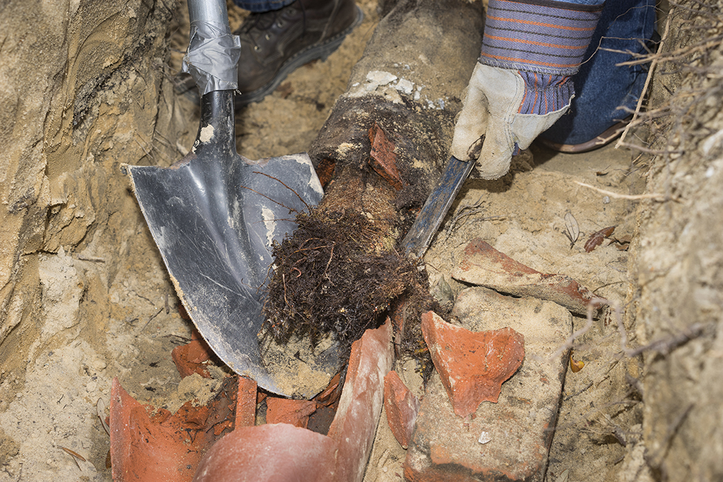 Sewage Backup? A Plumbing Service Can Help | Henderson, NV