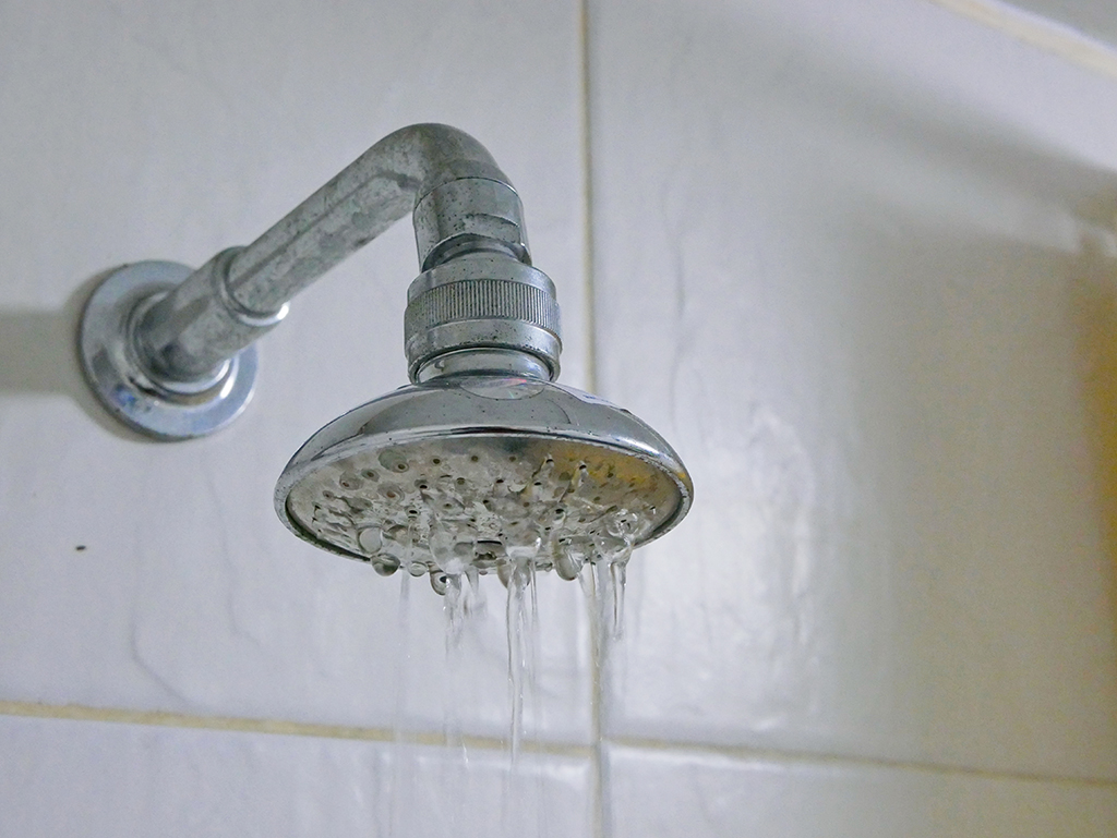 Need A Plumbing Service In Your Home? | North Las Vegas, NV