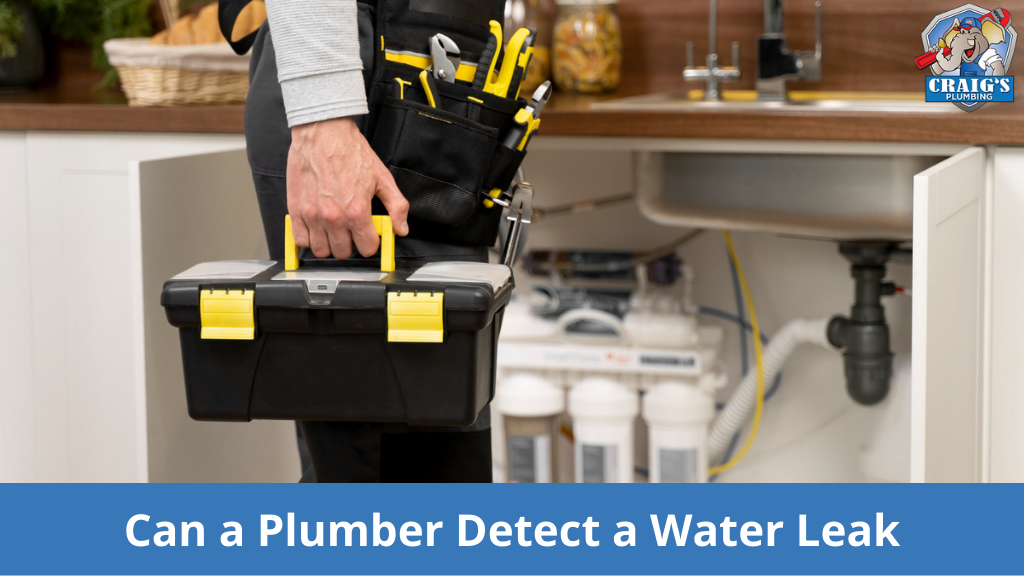 Can a Plumber Detect a Water Leak