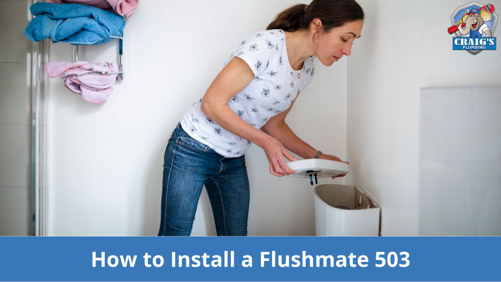 How to Install a Flushmate 503