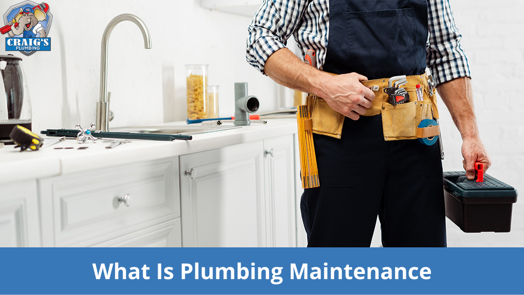 What Is Plumbing Maintenance