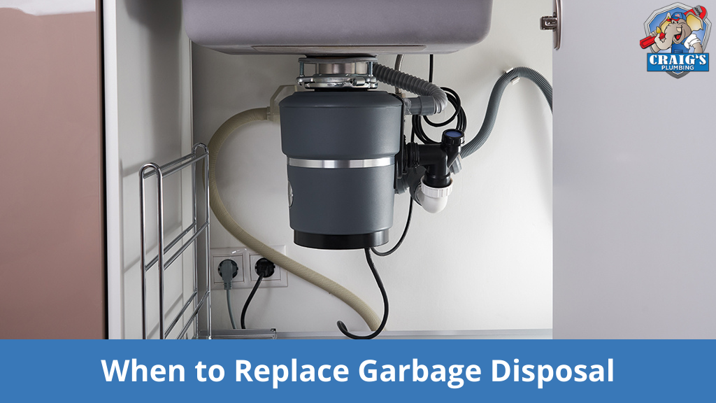 When to Replace Garbage Disposal